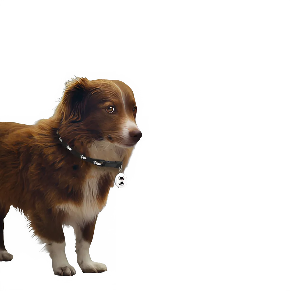 652c9c05-c09d-4a36-8be1-5362d0b8ef4f