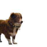 652c9c05-c09d-4a36-8be1-5362d0b8ef4f