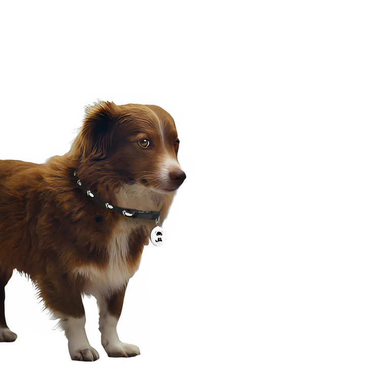 652c9c05-c09d-4a36-8be1-5362d0b8ef4f