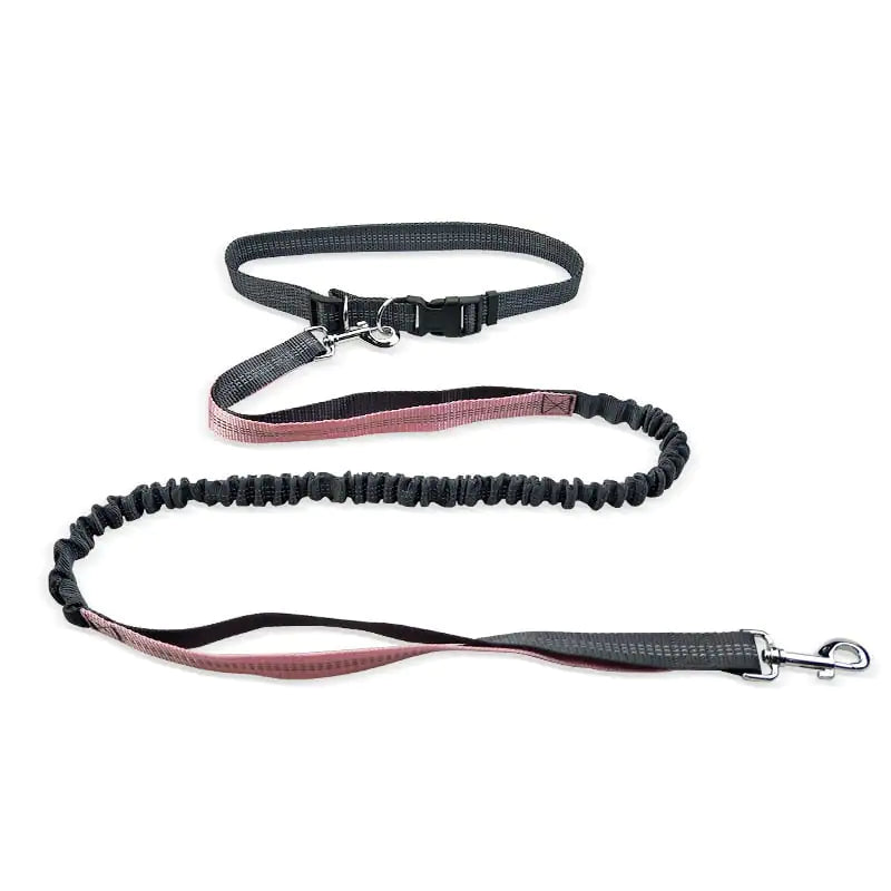 Black and pink bungee dog leash with adjustable waist belt and metal clasp
