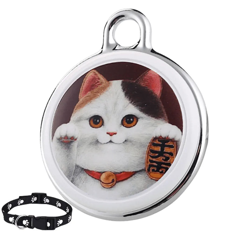 S78caac2dc00241049d6fce257fee69d8R