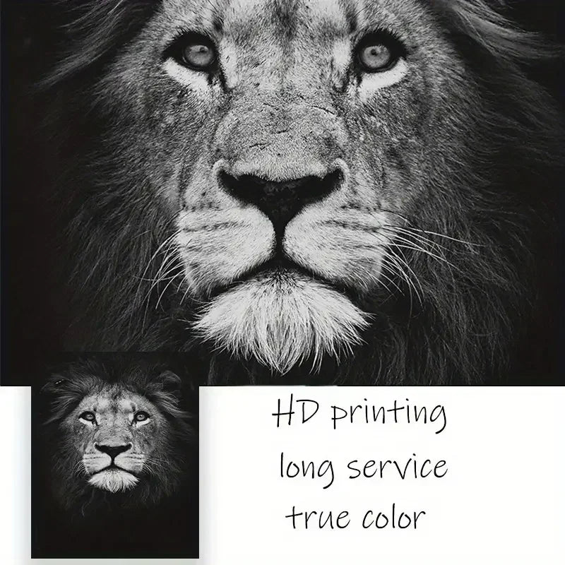 HD lion wall art print in black and white, detailed texture, durability and true color