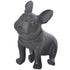 Black French bulldog statue with collar, modern dog decor accent