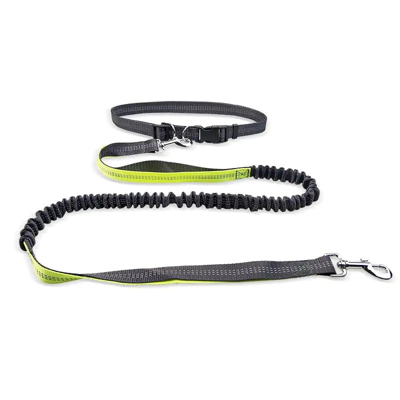 Reflective gray and yellow bungee dog leash with adjustable belt and metal clips