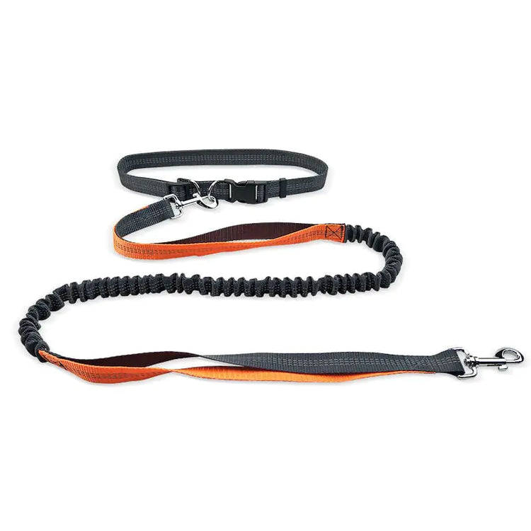 Black and orange bungee dog leash with padded handle and metal clip on white background